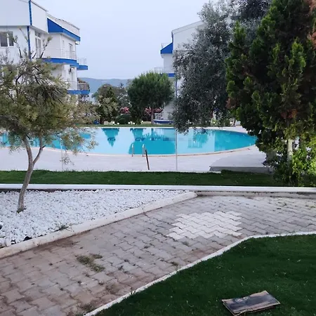 White Bay * Ντιντίμ